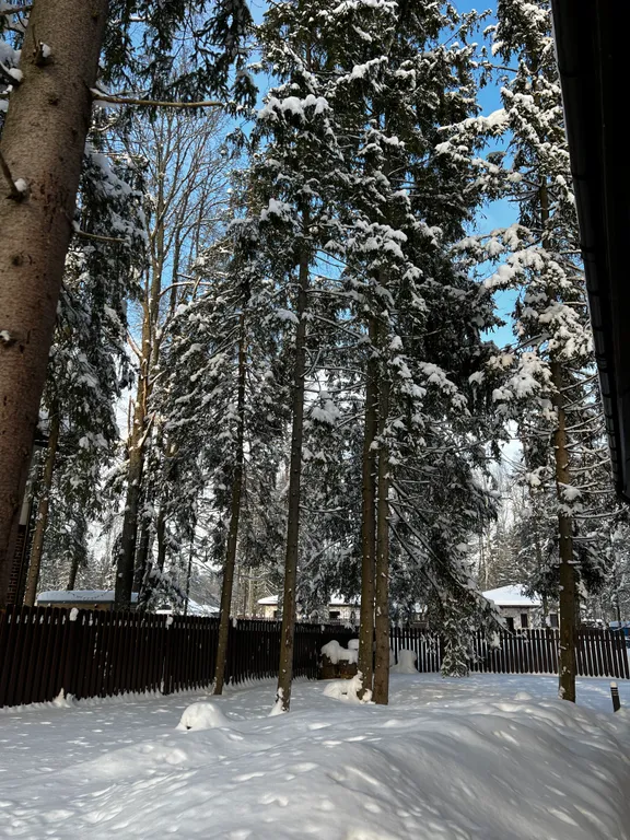 Просторный дом с камином в сосновом лесу