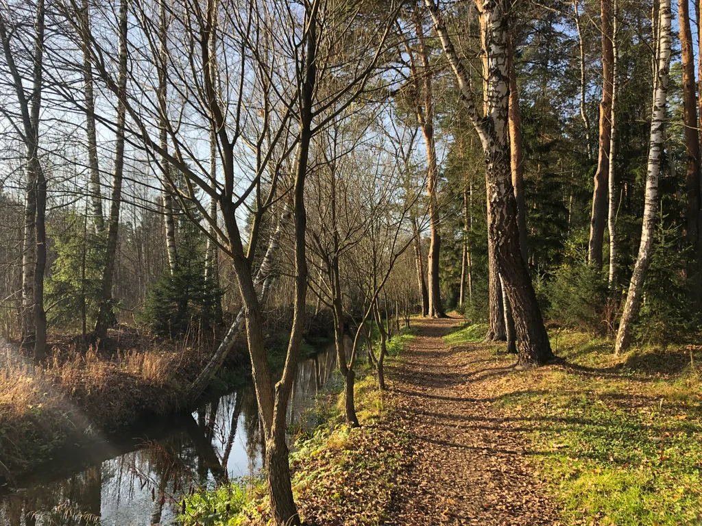 Аленький цветочек