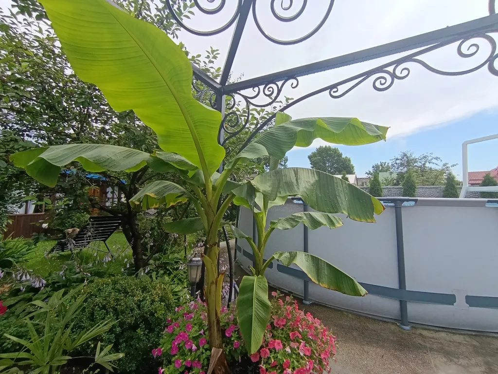 Гостевой дом с бассейном и баней на дровах