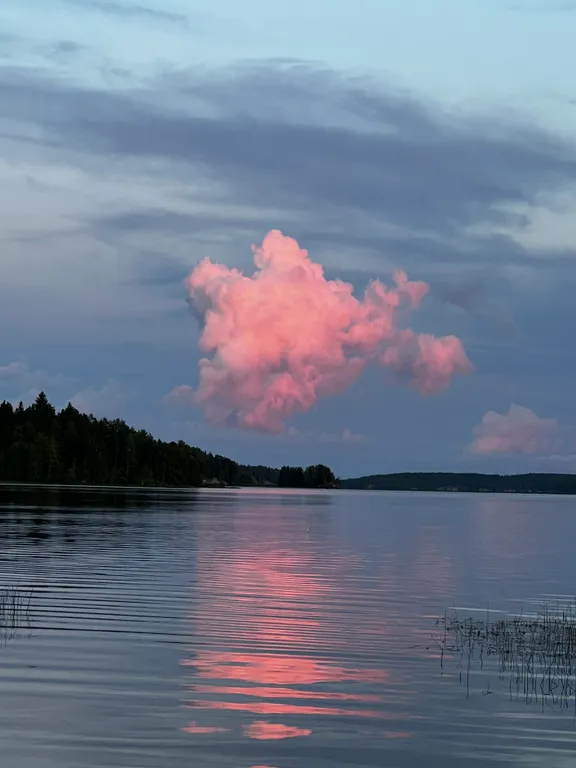 Стильный дом на берегу Ладожского озера с панорамным видом