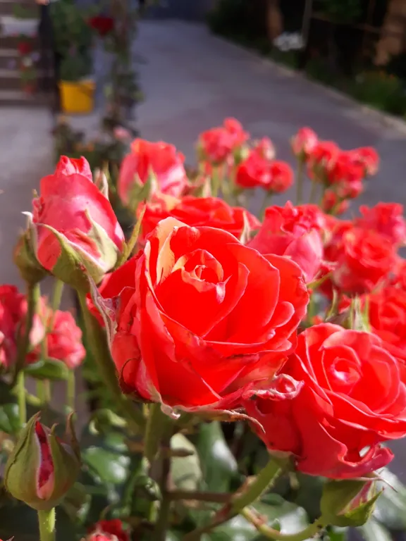 Дом двухкомнатный со всеми удобствами с отдельным двором