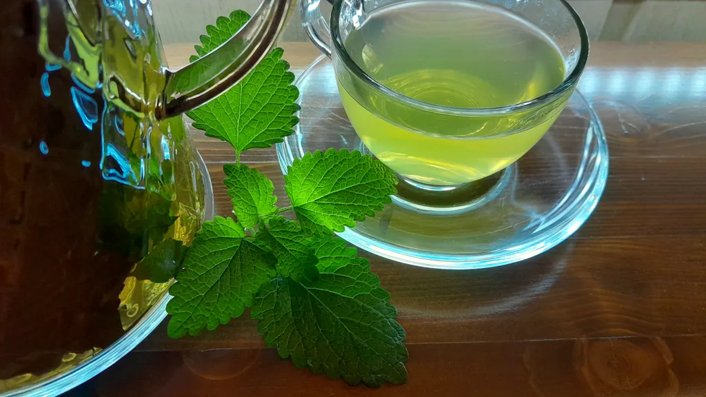 Уютный домик с видом на закат в Марфино