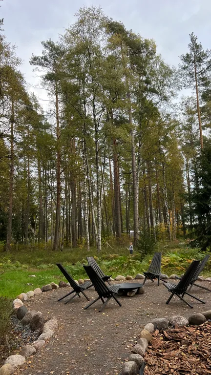 Уютный дом в сосновом лесу