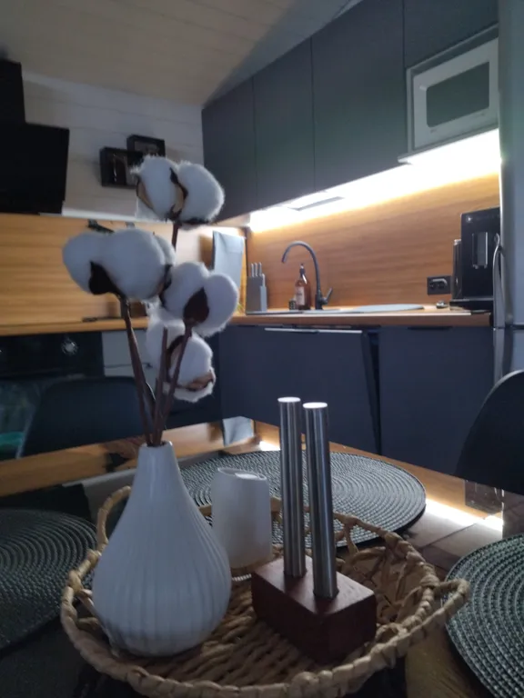 Коттедж Новый загородный дом напротив крепости Орешек — им. Морозова