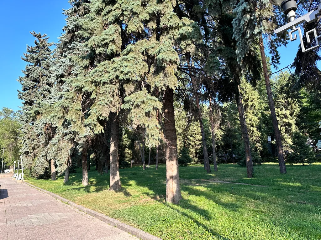 Шикарный 3 метровый потолок в квартире