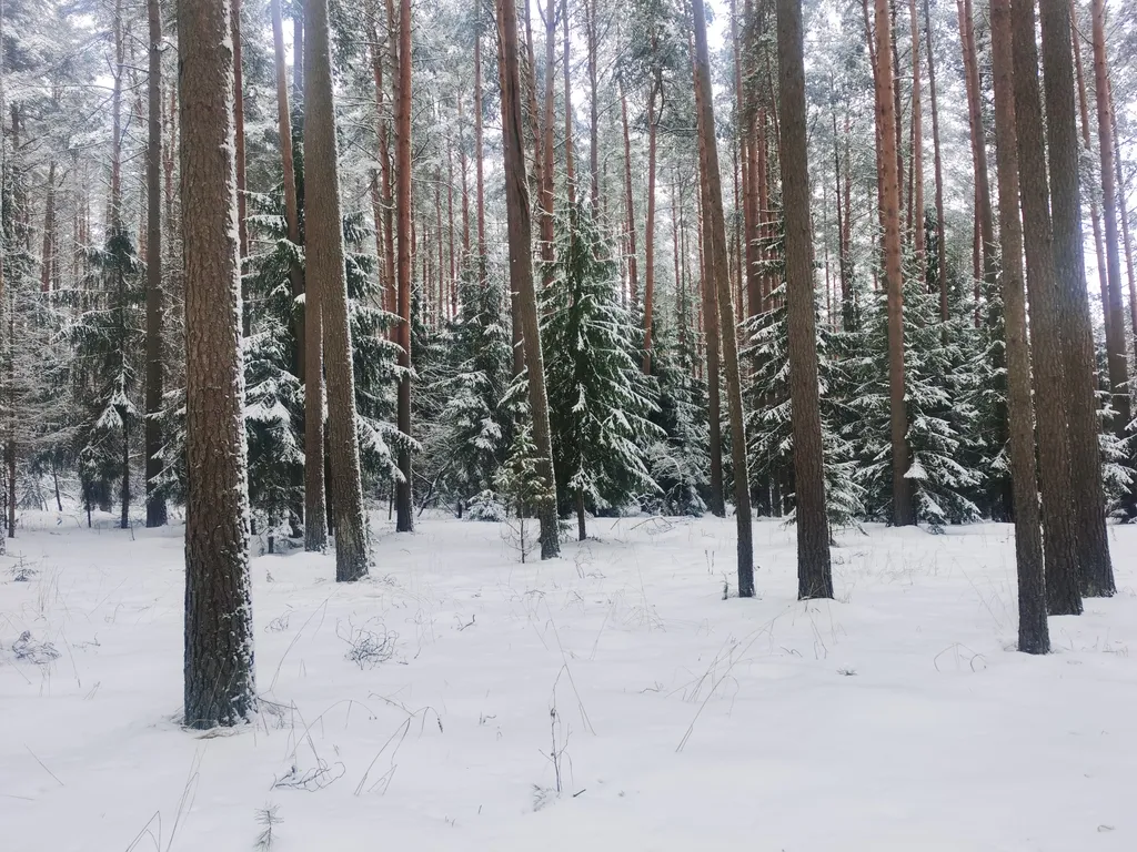 Коттедж Уютный коттедж с камином, баней и детской площадкой с батутом у озера — Завирье