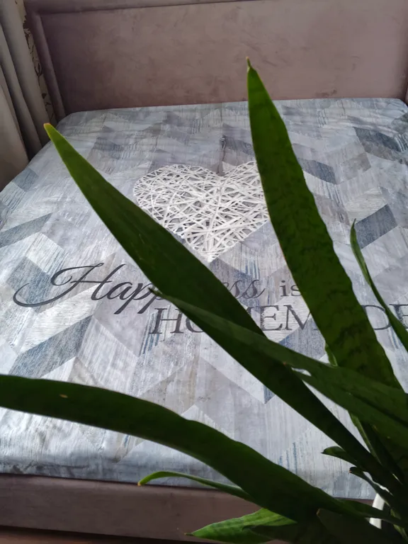 Уютная квартира в центре города!