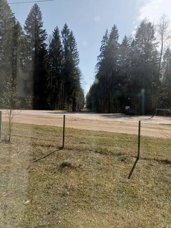 Домик в лесу