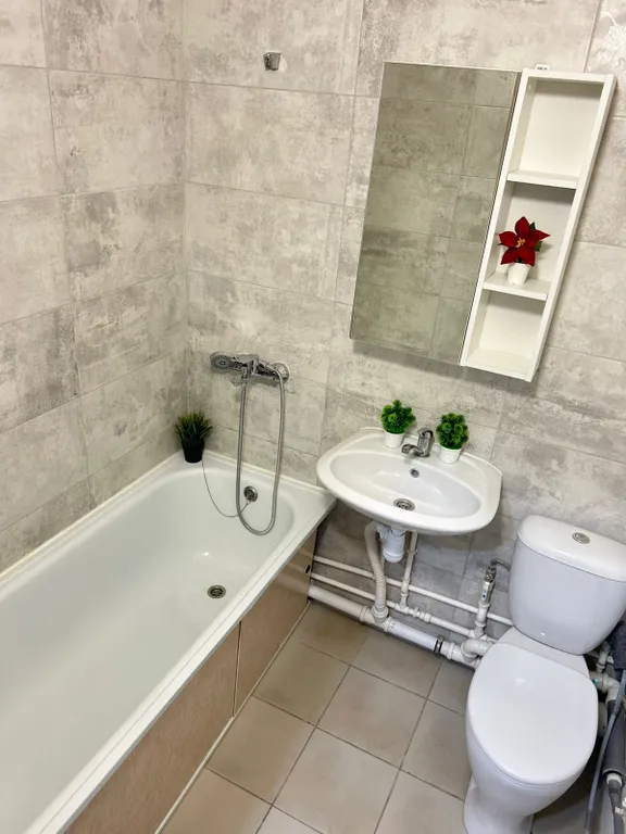 Апартаменты DreamHouse у Аэропорта