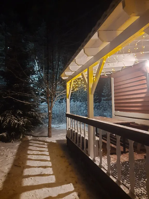 Домик с сауной и купелью у леса