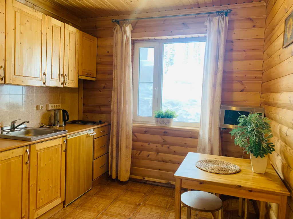 Дом-студия с сауной, камином и зоной барбекю на хуторе в Карелии