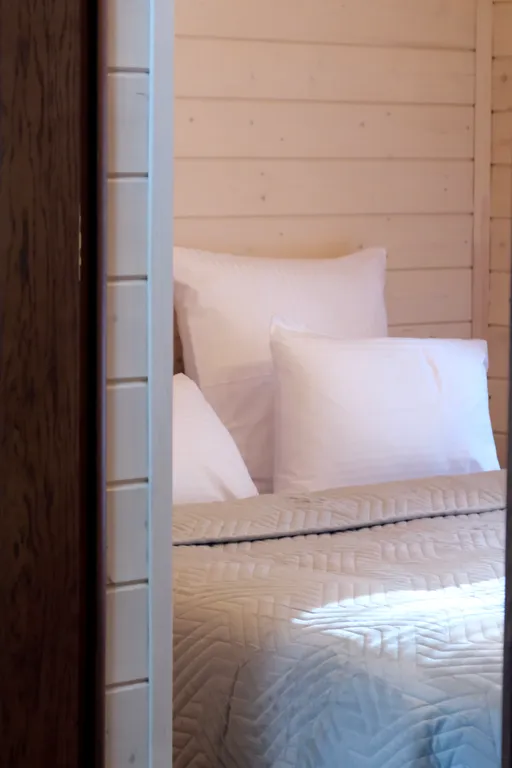 Дом для большой компании