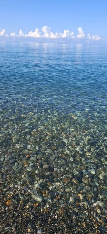 Студия у самого моря