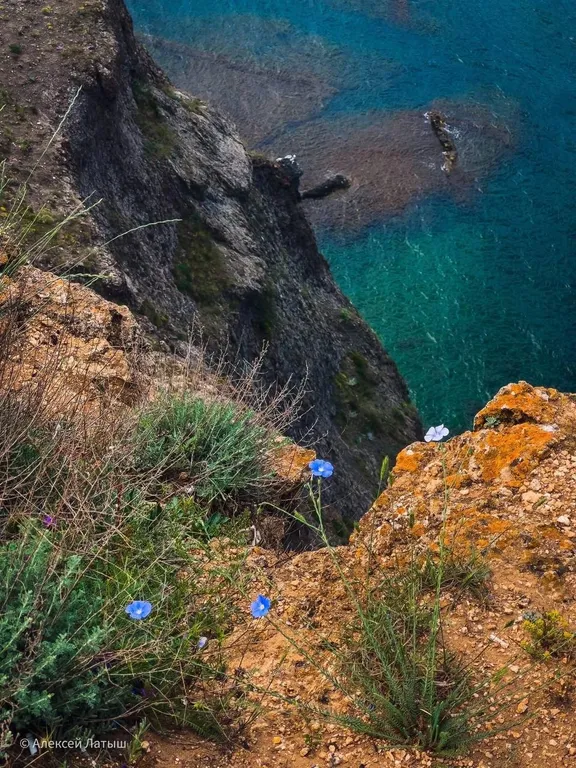 Квартира Квартира на берегу моря Фиолент — Севастополь