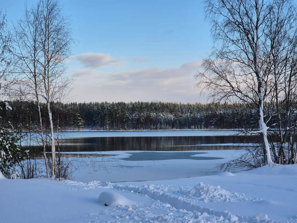 Коттедж Уютнейший дом с роскошным видом на озеро — Ларионово