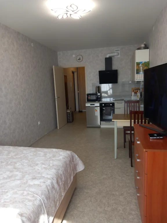 Уютная квартира студия