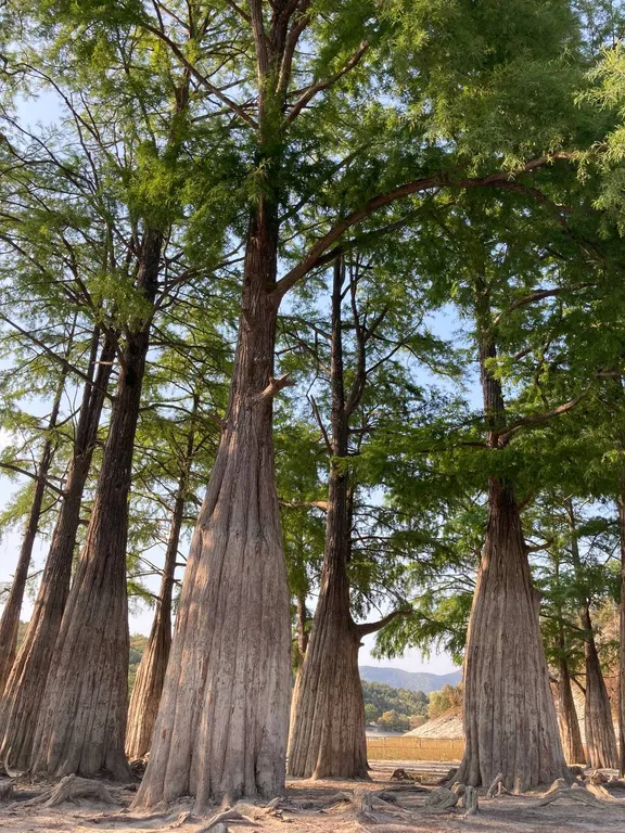 Квартира в новом доме с видом на бассейн и горы