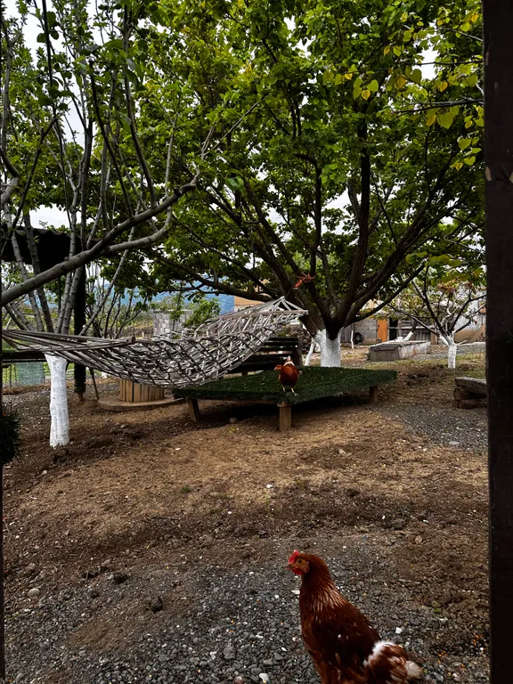 Коттедж Уютный домик с большим огородом у Сулакского каньона — Миатли