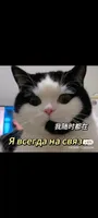 Дмитрий Гордейчук