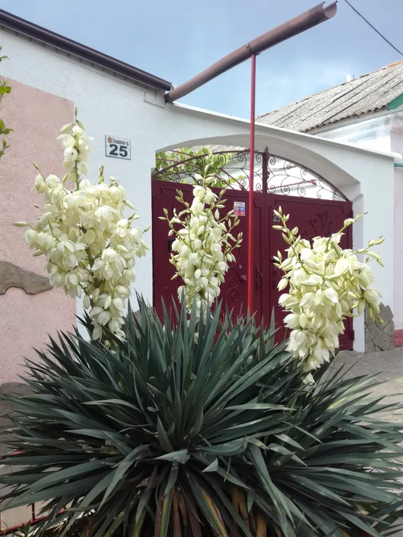 Дом в большом красивом закрытом дворе под ключ