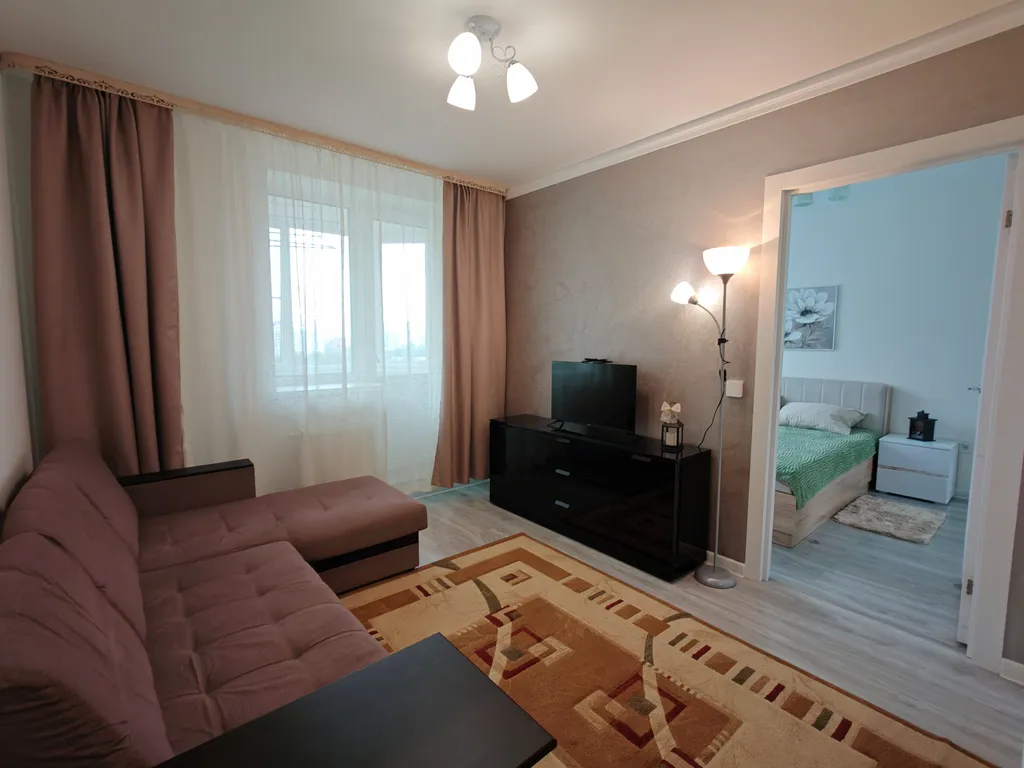 Квартира Уютная евродвушка возле метро Девяткино — аренда посуточно в Мурино