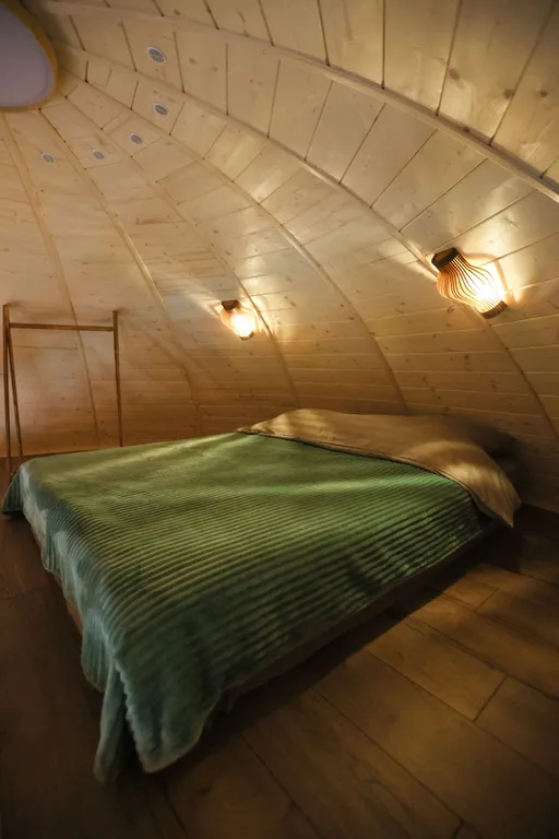 Уникальный купольный дом среди хвойного леса