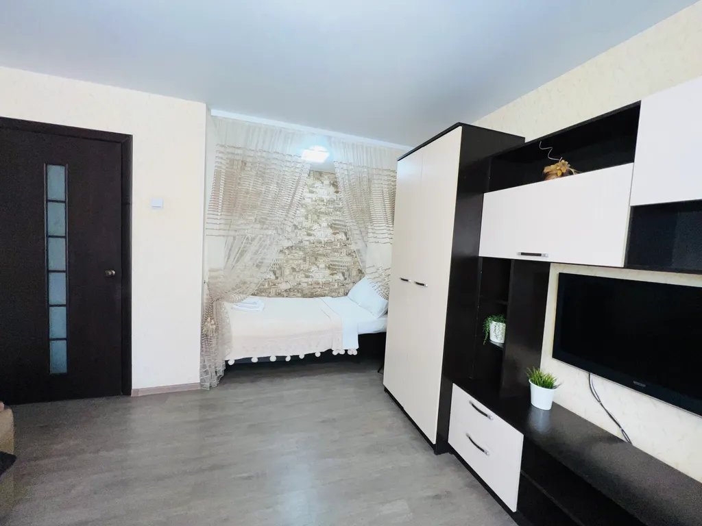 1-комнатная квартира в деловом и историческом центре города с новогодней елкой