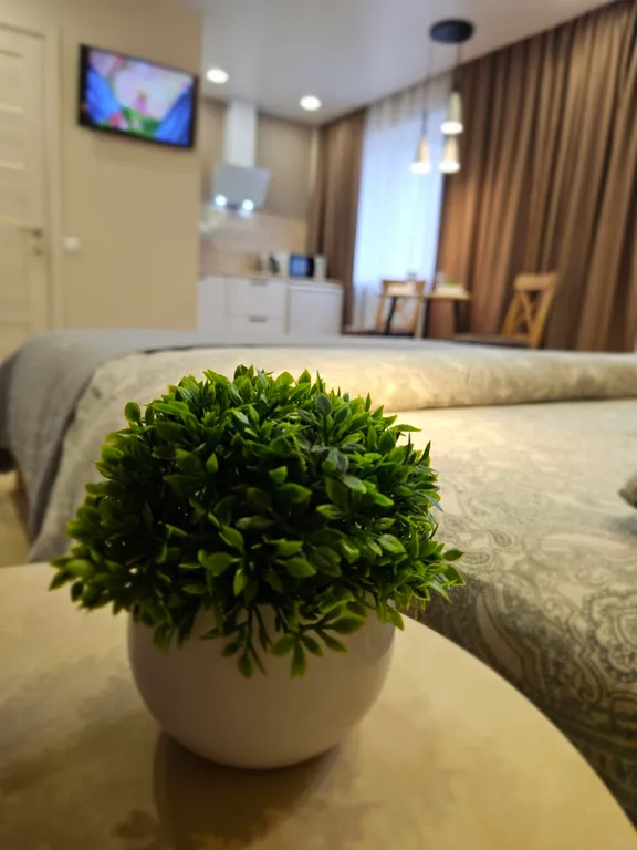 Новые апартаменты