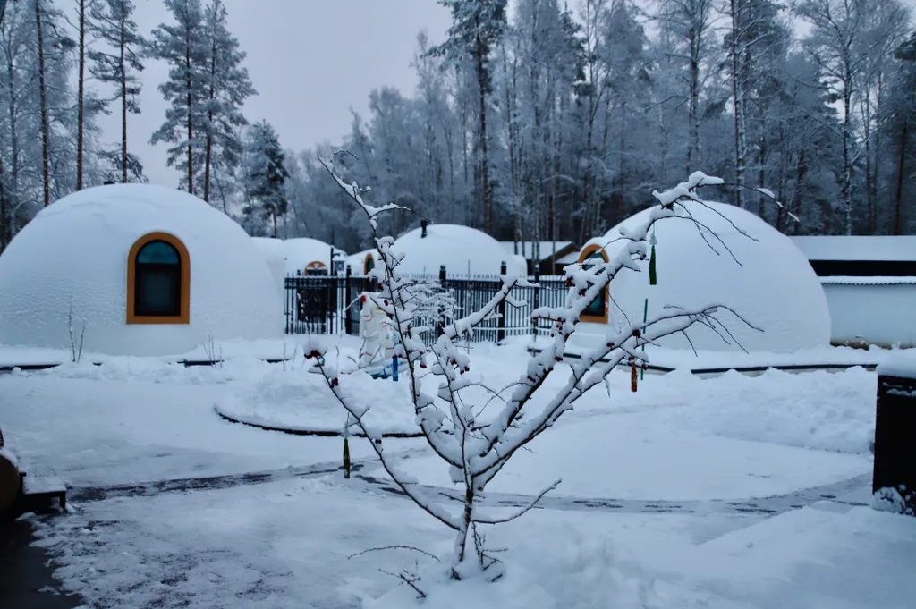 База отдыха Хэйлун Дом № 5 Шэньчжэнь вид на озера