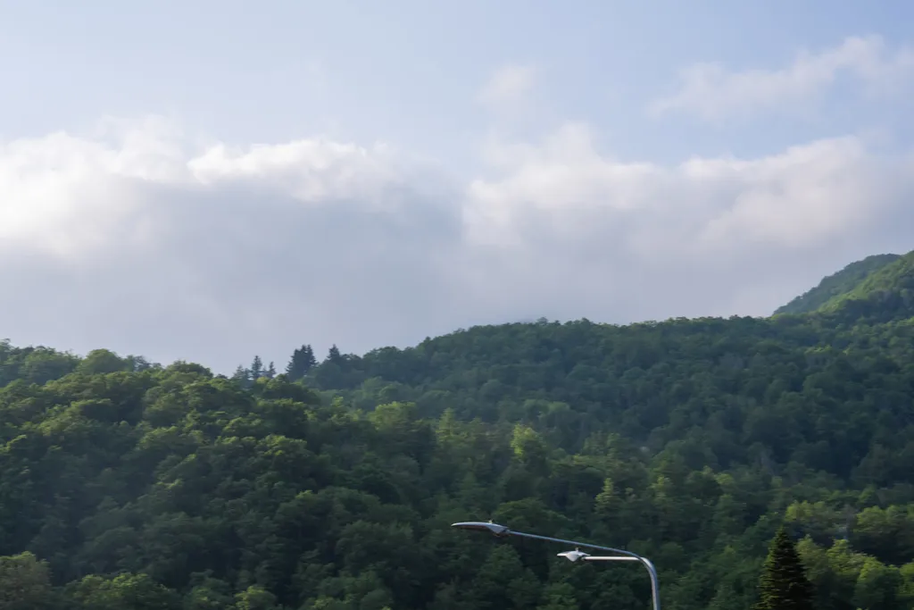 Green berg Апартамент