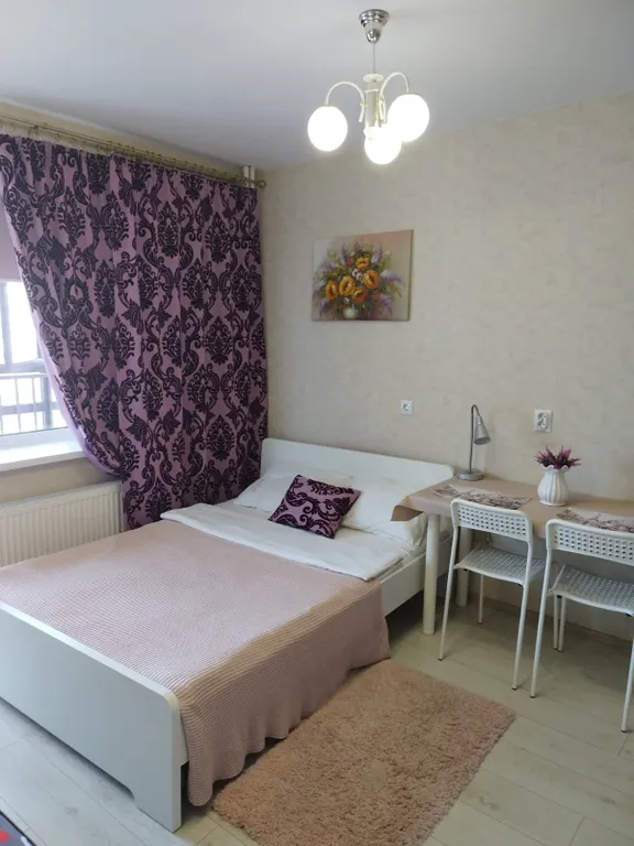 Квартира Студия на 16 этаже с большой лоджией — аренда посуточно в Мурино