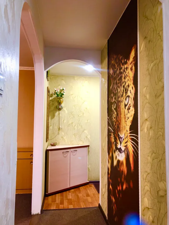 Апартаменты Драная кошка