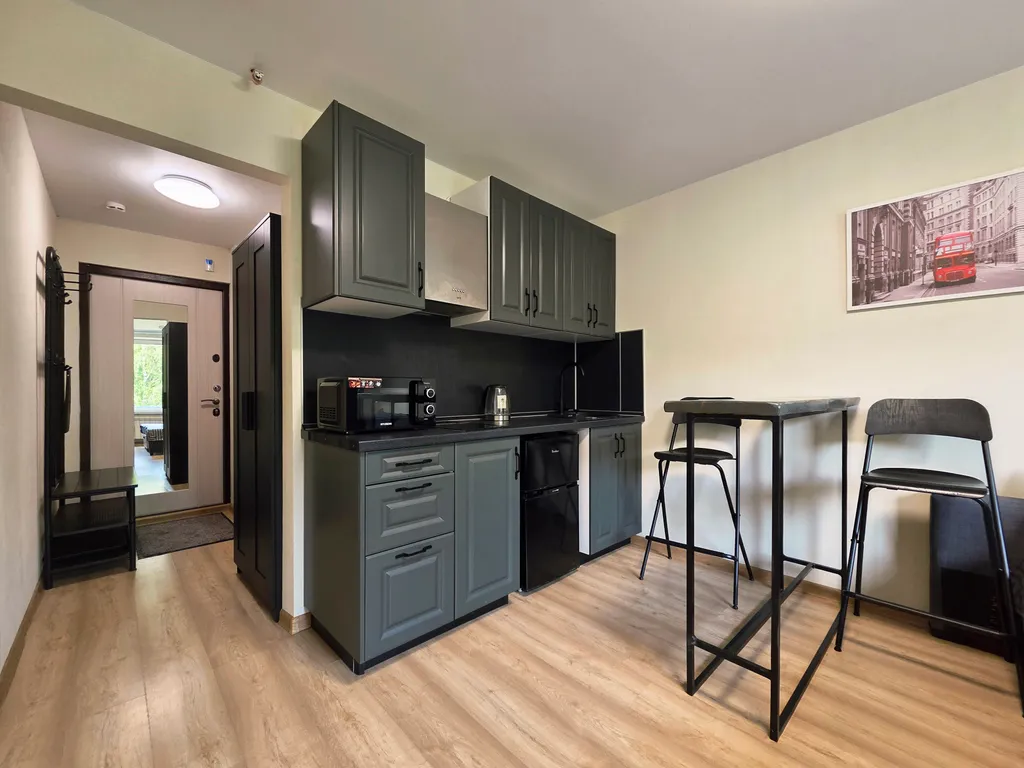 Квартира Квартира Уютная студия с видом на парк Лосиный остров — Москва