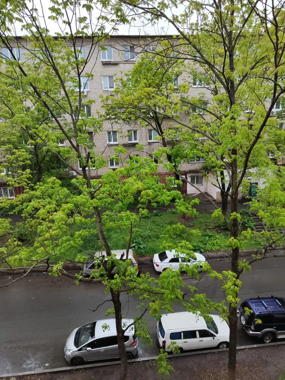 Квартира Квартира Студия Авокадо — Владивосток