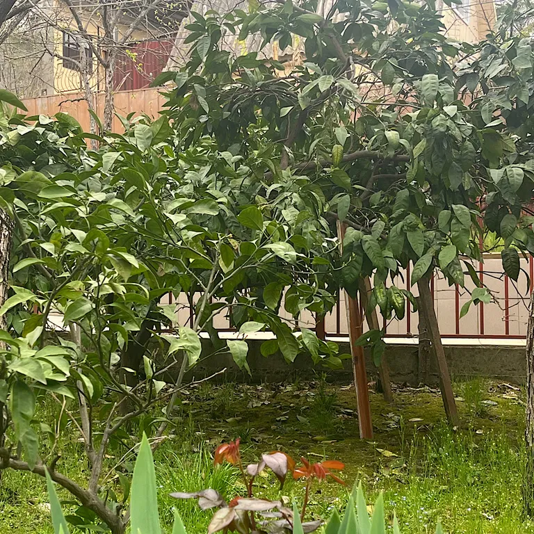 Четырёхместная комната с удобствами