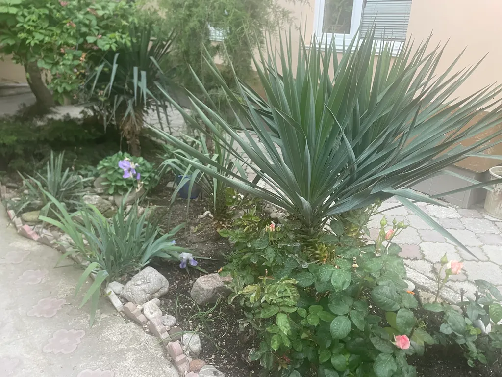 Новая студия в гостевом доме на 3-4 человека, вся техника