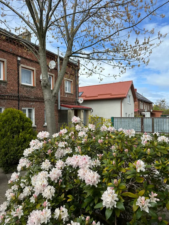 Квартира с видом на море