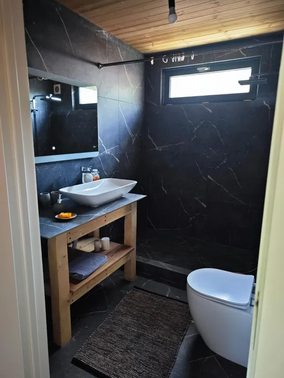 Большой дом