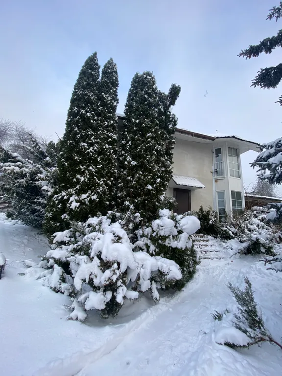 Дом холостяка