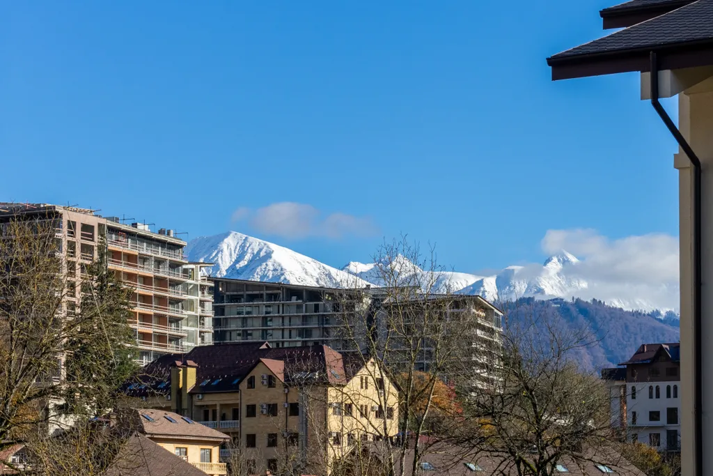 Зеленая студия в ЖК Гринберг