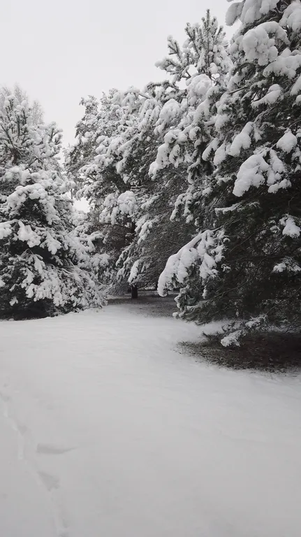 Эко Таунхаус Хитрый Лис Парк