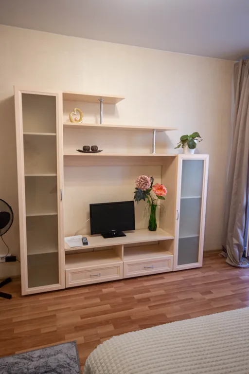 Уютная студия у метро Девяткино