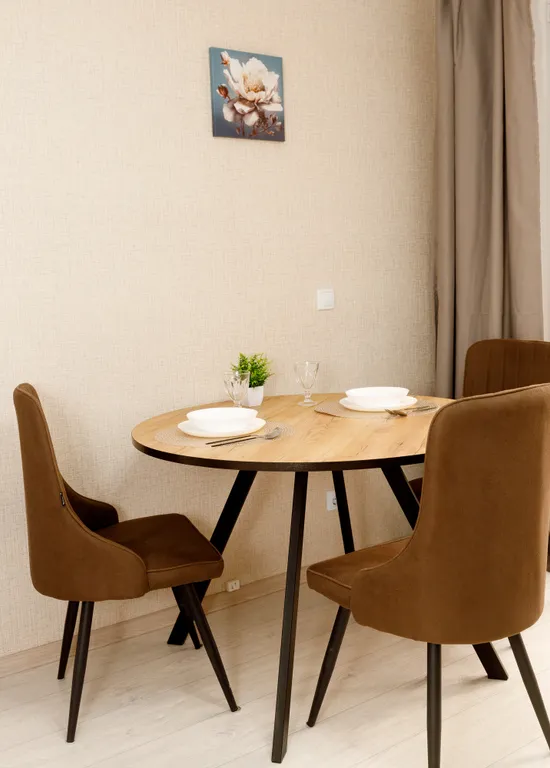 Просторная 1к квартира в центре