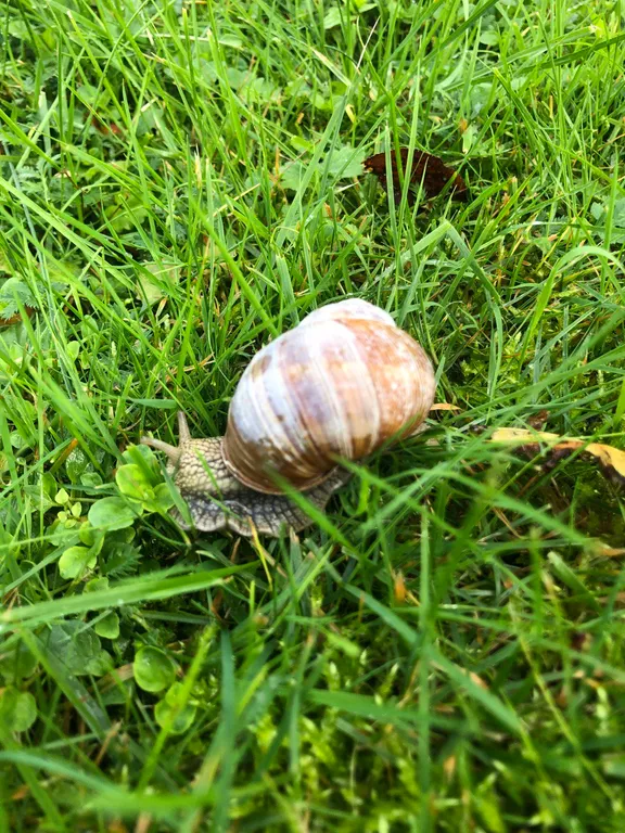 Домик у озера (с баней и сибирским чаном)