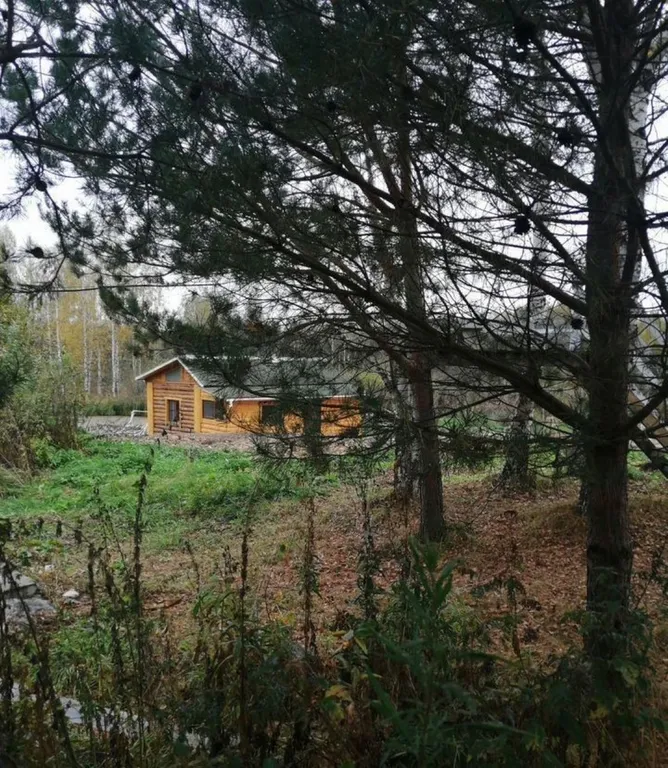 Дом баня на берегу водоема