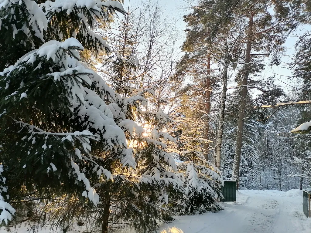 Гостевой дом у леса