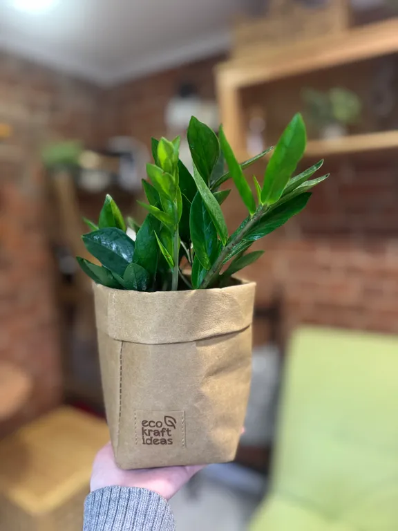 Квартира Квартира Раскольникова modern — Санкт-Петербург