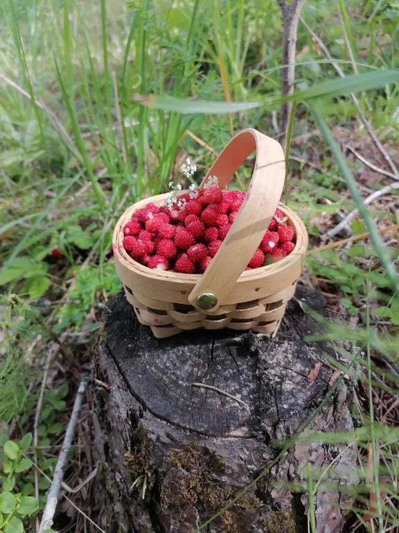 Домик на горе