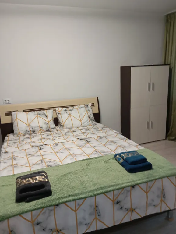 1-комнатная квартира в центре города