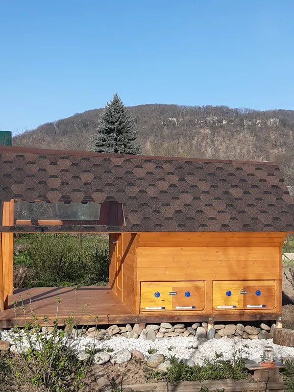 Оздоровительный сон на пчелах